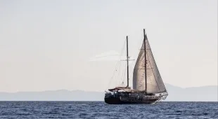 Pacha East Mediterranean
