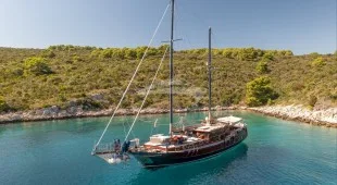Pacha East Mediterranean