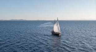 Pacha East Mediterranean