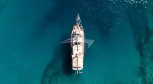 Pacha East Mediterranean