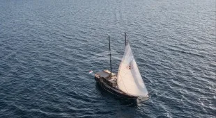Pacha East Mediterranean