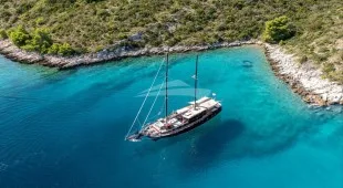 Pacha East Mediterranean