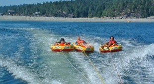 Pacific Yellowfin West Coast United States, Canada