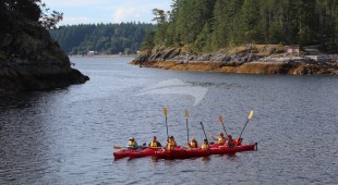 Pacific Yellowfin West Coast United States, Canada