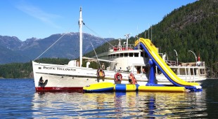 Pacific Yellowfin West Coast United States, Canada