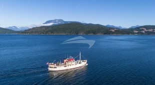 Pacific Yellowfin West Coast United States, Canada