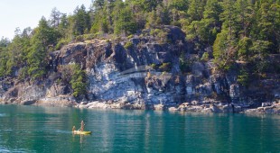 Pacific Yellowfin West Coast United States, Canada