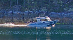 Pacific Yellowfin West Coast United States, Canada