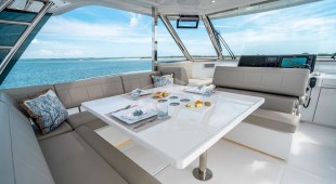 Painted Pelican Caribbean