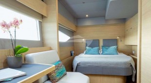 Painted Pelican Caribbean