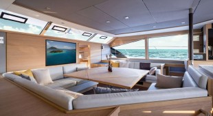 Painted Pelican Caribbean