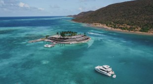 Painted Pelican Caribbean