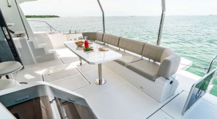 Painted Pelican Caribbean