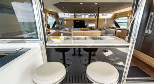 Painted Pelican Caribbean