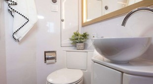 Painted Pelican Caribbean