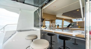 Painted Pelican Caribbean