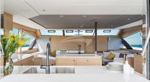 Painted Pelican Caribbean