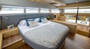 Painted Pelican Caribbean