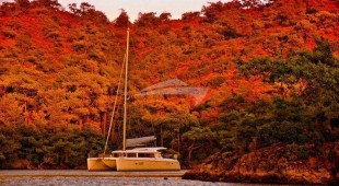 Paluko East Mediterranean