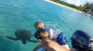 Pandora Caribbean, East Coast United States