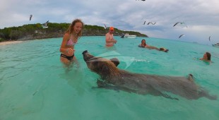 Pandora Caribbean, East Coast United States