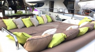 Panthera Caribbean, East Coast United States