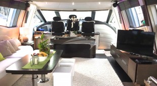 Panthera Caribbean, East Coast United States