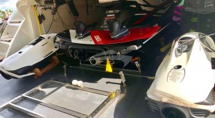 Panthera Caribbean, East Coast United States