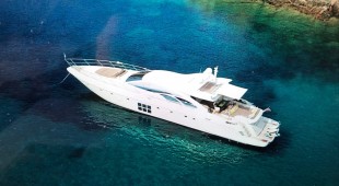 Panthera Caribbean, East Coast United States