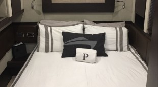 Panthera Caribbean, East Coast United States