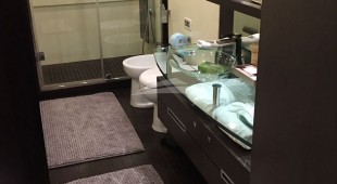 Panthera Caribbean, East Coast United States