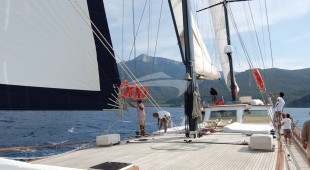 Papa Joe East Mediterranean