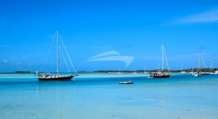 Paradigm Shift Caribbean, East Coast United States