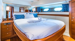 Parodia Ii West Mediterranean