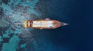 Parss East Mediterranean