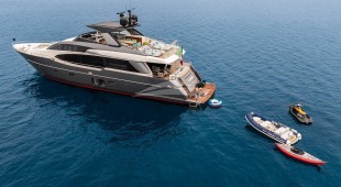 Pembe Caribbean, East Mediterranean, West Mediterranean