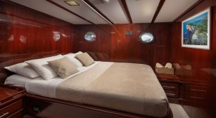 Phoenix Bronze Croatia