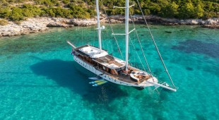 Phoenix Bronze Croatia