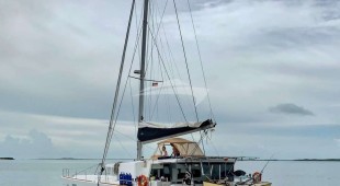 Physalia Caribbean