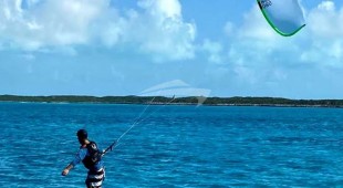 Physalia Caribbean