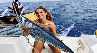 Physalia Caribbean