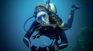 Physalia Caribbean