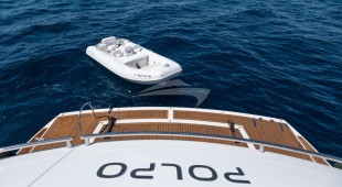 Polpo East Mediterranean