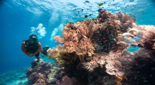 Prana By Atzaro South East Asia