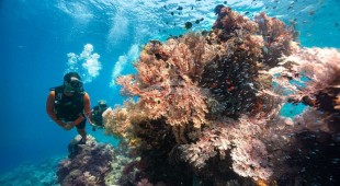 Prana By Atzaro South East Asia