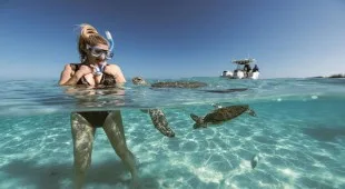 Purelyblu Bahamas