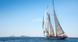 Puritan East Mediterranean, West Mediterranean