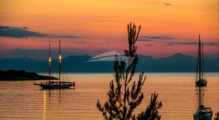 Puritan East Mediterranean, West Mediterranean