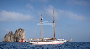 Puritan East Mediterranean, West Mediterranean