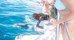 Respite At Sea Caribbean Virgin Islands (US/BVI), Caribbean Leewards, Caribbean Virgin Islands (US), Caribbean Virgin Islands (BVI)